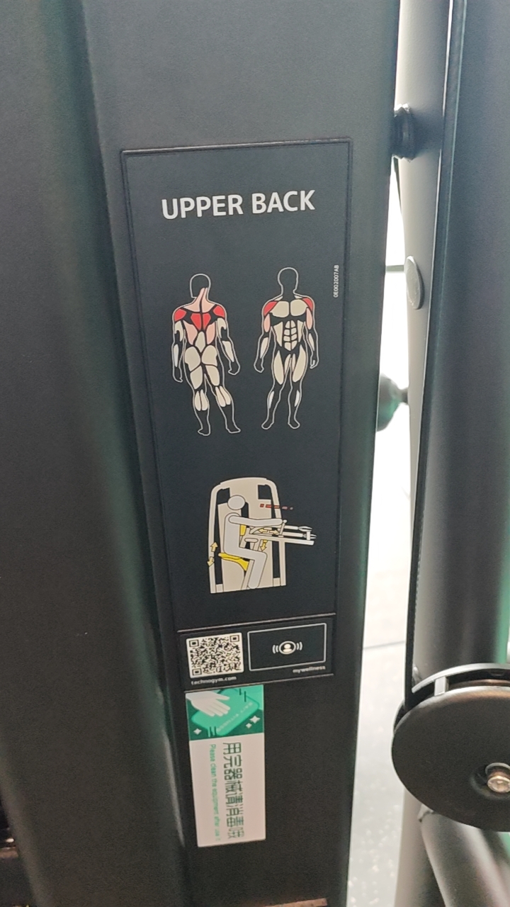 Upper Back muscle target
